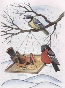 птицы зимой